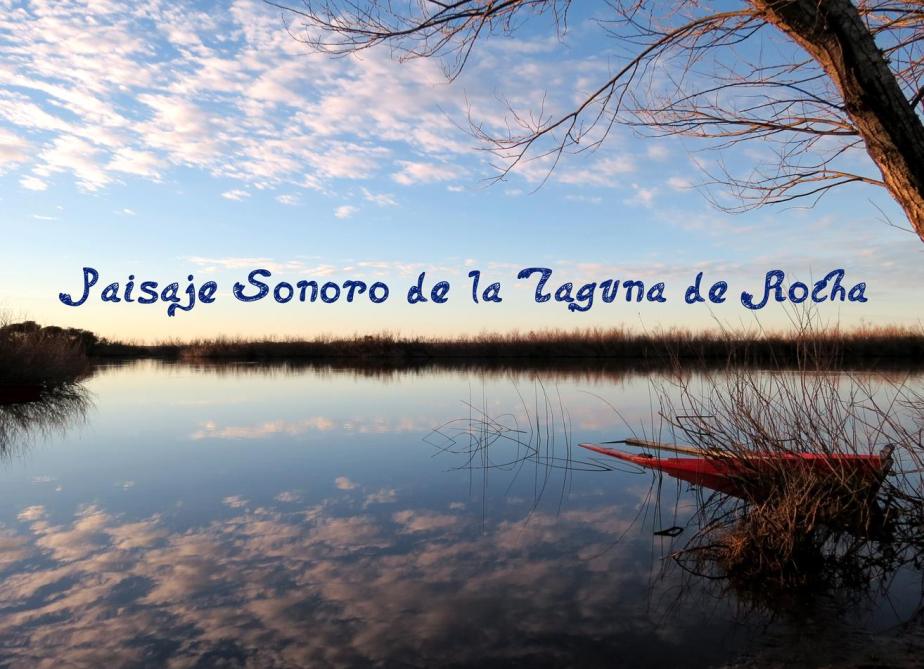 Paisaje sonoro de la Laguna de Rocha